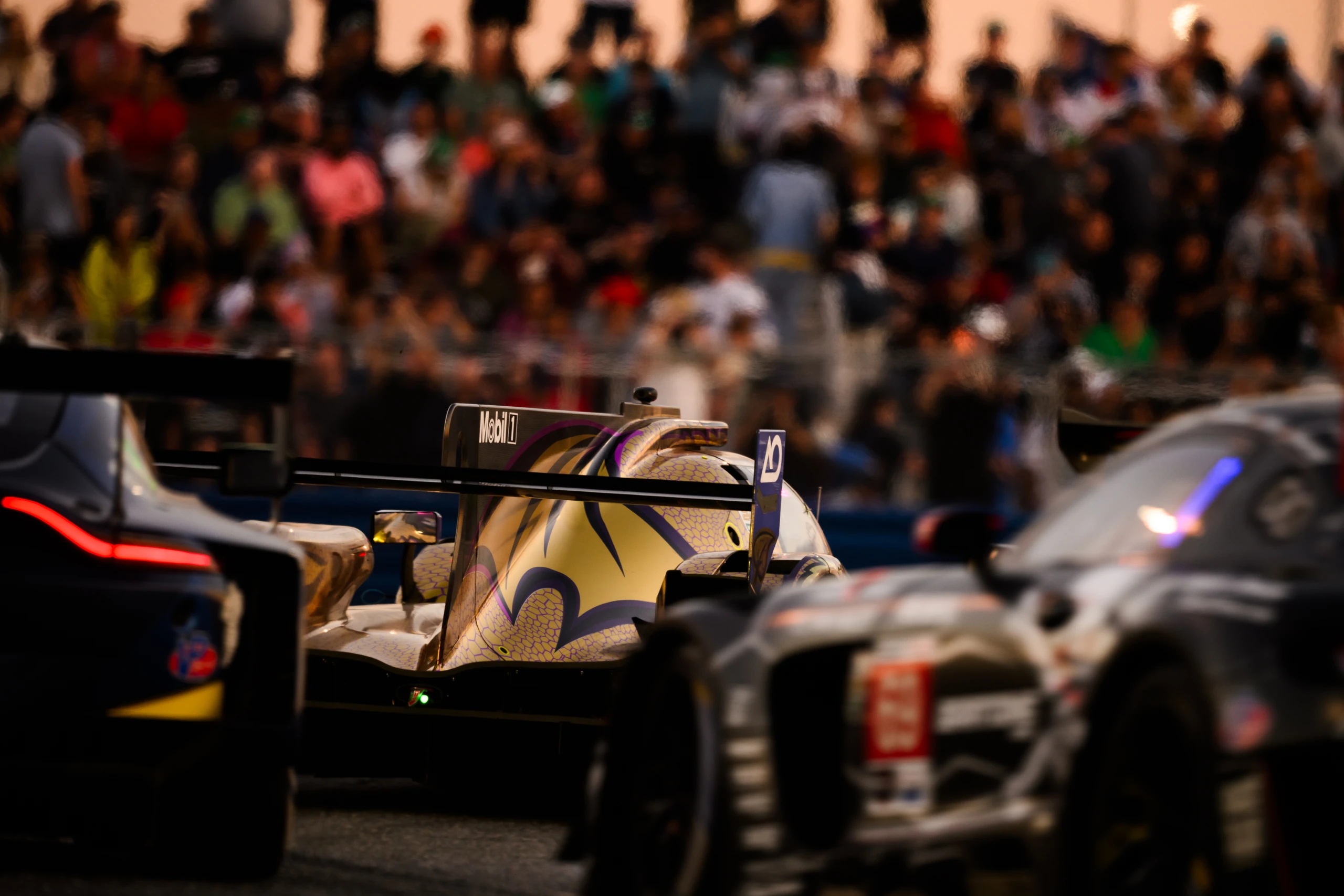 Endurance racing cars in front of the crowd
